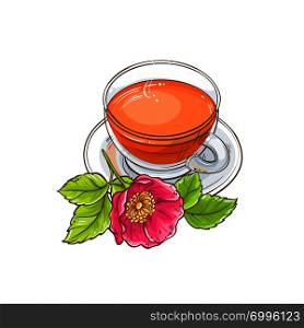 dog rose tea illustration on white background. dog rose tea illustration