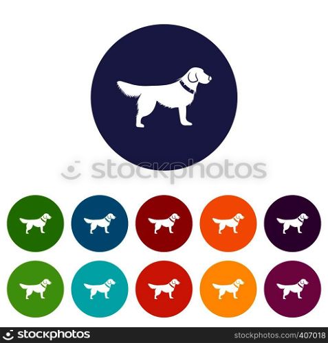 Dog set icons in different colors isolated on white background. Dog set icons