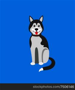 Dog Siberian husky, doggish animal mammal pet vector. Purebred domesticated canine, canis lupus familiaris, drawing of hound with fur sticking tongue. Dog Siberian Husky, Doggish Animal Mammal Pet