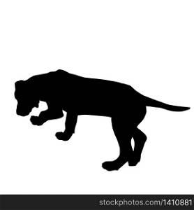 Dog silhouette sniffing the tracks on white background, vector illustration