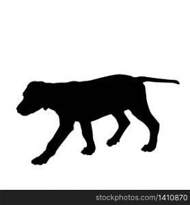 Dog silhouette walking on white background, vector illustration