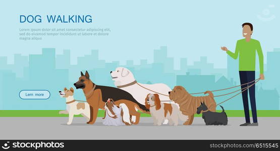 Dog Walking Banner. Man Walks with Puppies. Dog walking banner. Man walks with Golden Retriever, Jack Russell Terrier, Maremma Sheepdog, German Shepherd, Pekingese, Fox Terrier breeds. Dog pet shop banner poster. Vector.