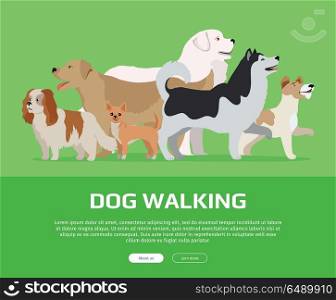 Dog walking conceptual web banner. Flat style vector. Group of purebred dogs standing on green background. Illustration for dog training courses, breed club landing page and corporate site design. Dog Walking Concept Flat Style Vector Web Banner . Dog Walking Concept Flat Style Vector Web Banner