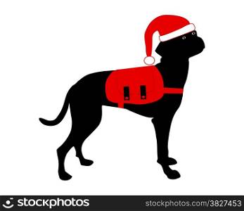 Dog with christmas cap and rucksack
