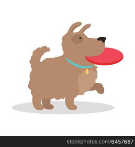 Dog with frisbee vector illustration in flat style. Playing with pet picture for animalistic conceptual banners, web, app, icons, infographics, logotype design. Isolated on white background. . Dog with frisbee Illustration in Flat Design.