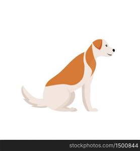 Dog with ginger spots flat color vector character. Domestic animal for adoption. Pet care salon. Veterinary and clinic. Puppy sit isolated cartoon illustration for web graphic design and animation. Dog with ginger spots flat color vector character