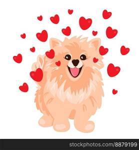 Dog with red hearts. Cute pomeranian spitz. Vector illustration. Dog with red hearts. Cute pomeranian spitz