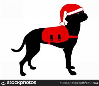 Dog with rucksack an christmas hat