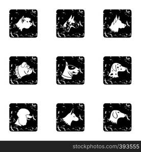 Doggy icons set. Grunge illustration of 9 doggy vector icons for web. Doggy icons set, grunge style