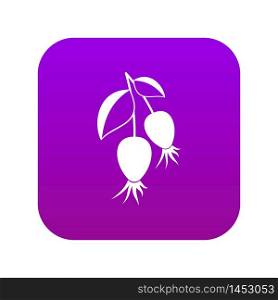 Dogrose berries branch icon digital purple for any design isolated on white vector illustration. Dogrose berries branch icon digital purple