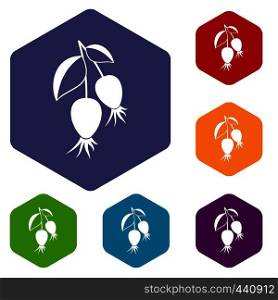 Dogrose berries branch icons set hexagon isolated vector illustration. Dogrose berries branch icons set hexagon
