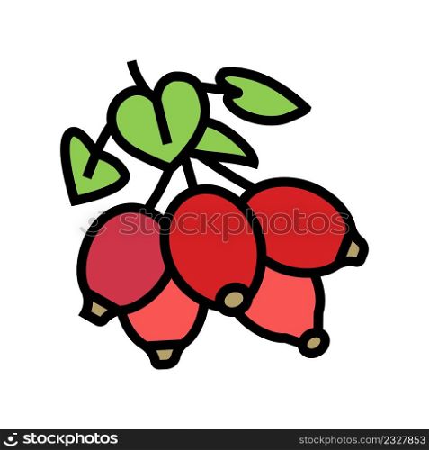 dogrose berry color icon vector. dogrose berry sign. isolated symbol illustration. dogrose berry color icon vector illustration