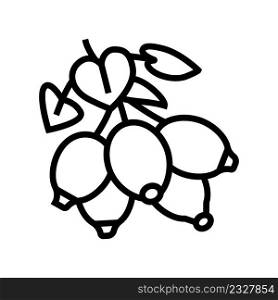 dogrose berry line icon vector. dogrose berry sign. isolated contour symbol black illustration. dogrose berry line icon vector illustration