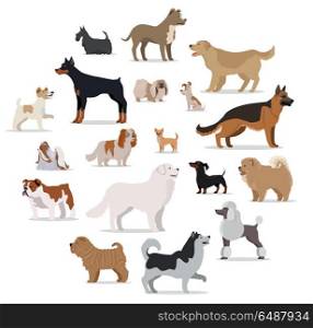 Dogs Breed Set in Cartoon Style Isolated on White.. Dogs breed set isolated on white. Collection of big and small puppies. Different types of dogs. Exhibition of popular dog canine species. Pedigreed animals in cartoon style. Vector illustration