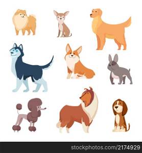 Dogs breeds. Funny true and faithful animals playing in various poses cartoon puffy puppy poodle bulldog dachshund exact vector illustrations collection. Pet dog animal, funny puppy cartoon. Dogs breeds. Funny true and faithful animals playing in various poses cartoon puffy puppy poodle bulldog dachshund exact vector illustrations collection