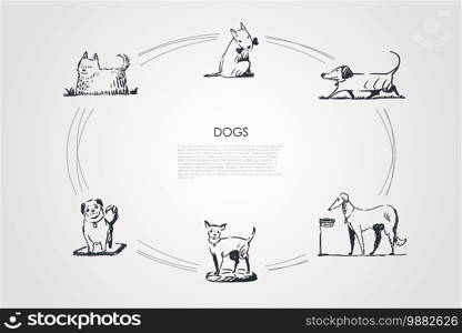 Dogs - different dog breeds walking, eating from bowl, playing with bone, sitting on grass vector concept set. Hand drawn sketch isolated illustration. Dogs - different dog breeds walking, eating from bowl, playing with bone, sitting vector concept set