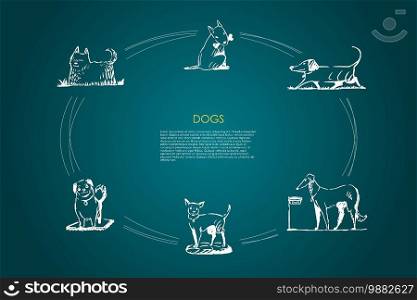 Dogs - different dog breeds walking, eating from bowl, playing with bone, sitting on grass vector concept set. Hand drawn sketch isolated illustration. Dogs - different dog breeds walking, eating from bowl, playing with bone, sitting vector concept set