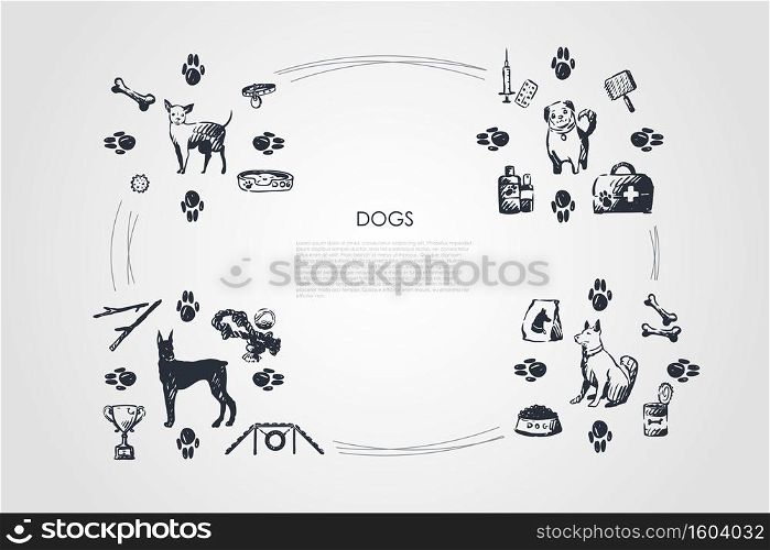 Dogs - different dog breeds with food, bones, collar, footprints, bowl, toys, vet objects vector concept set. Hand drawn sketch isolated illustration. Dogs - different dog breeds with food, bones, collar, footprints, bowl, vet objects vector concept set