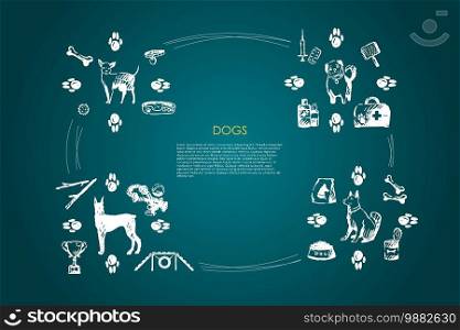 Dogs - different dog breeds with food, bones, collar, footprints, bowl, toys, vet objects vector concept set. Hand drawn sketch isolated illustration. Dogs - different dog breeds with food, bones, collar, footprints, bowl, vet objects vector concept set
