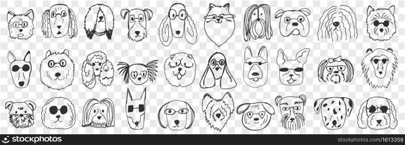 Dogs faces doodle set. Collection of hand drawn funny cute faces of dogs pets of different breeds and fur styles isolated on transparent background. Illustration of dogs breeds for kids. Funny dogs faces doodle set