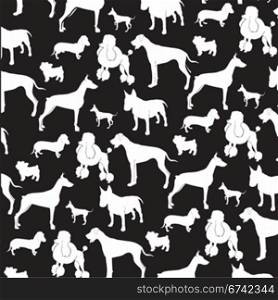 dogs on black and white background