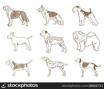 Dogs Set. Vector Illustration. Cartoon Sketch Isolated on White Background.