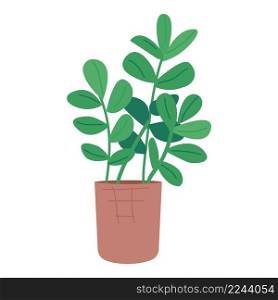 Dollar tree in pot semi flat color vector object. Full sized item on white. Home garden. Ornamental houseplant simple cartoon style illustration for web graphic design and animation. Dollar tree in pot semi flat color vector object