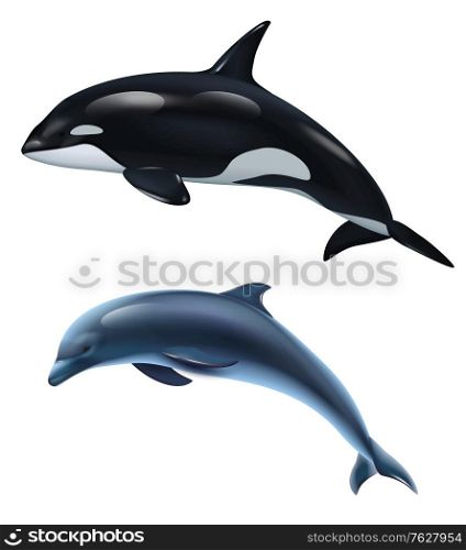 Dolphin and killer whale realistic icon set two mammals isolated and realistic vector illustration