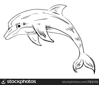 Dolphin drawing, illustration, vector on white background.