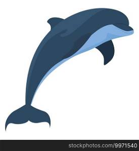 Dolphin jumping, illustration, vector on white background