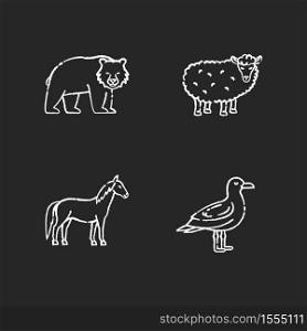 Domestic and wild animals chalk white icons set on black background. Bear, seagull, horse and sheep. Mammals and bird. Forest wildlife and farm livestock. Isolated vector chalkboard illustrations. Domestic and wild animals chalk white icons set on black background