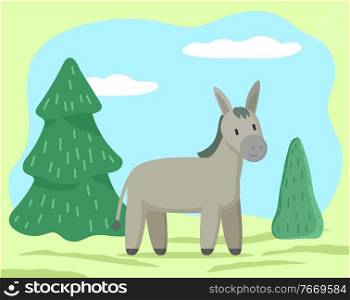 Domestic animal stand on ground on meadow or field. Donkey or mule with grey fur coat, rustic animal on farm. Village or countryside nature with spruces and trees. Vector illustration of livestock. Donkey or Mule, Rustic Animal Stand on Meadow