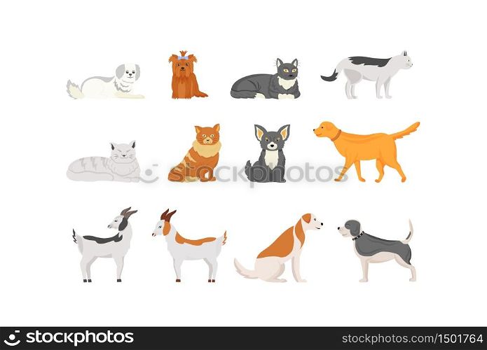 Domestic animals flat color vector characters set. Pet care. White goat with spots standing. Cute dog. Puppy lie. Cat sleeping.Pets isolated cartoon illustrations on white background. Domestic animals flat color vector characters set
