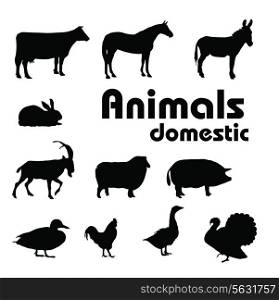domestic animals silhouettes. Vector illustration. EPS 10.