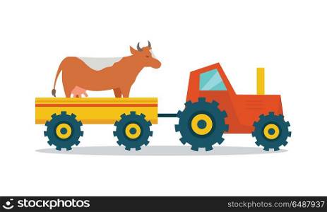 Domestic animals transportation vector. Flat design. Tractor with trailer caring cow. Cattle mowing on the farm illustration. Farming concept for meat, agricultural, transport companies. On white. . Domestic Animals Carriage Vector Illustration. . Domestic Animals Carriage Vector Illustration.