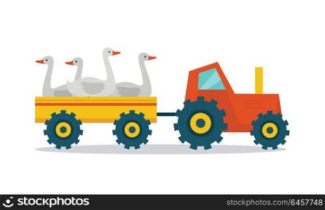 Domestic animals transportation vector. Flat design. Tractor with trailer caring geese. Fresh poultry delivery to market from the farm. Meat production and delivering concept. isolated on white. . Domestic Animals Carriage Vector Illustration.