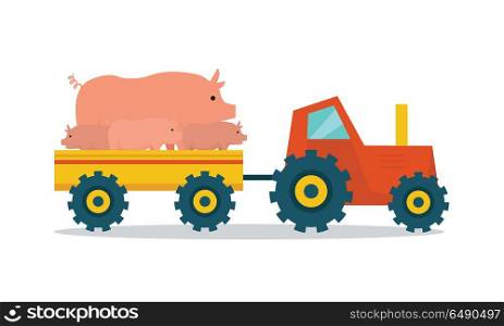 Domestic animals transportation vector. Flat design. Tractor with trailer caring pigs. Cattle mowing on farm illustration. Farming concept for meat, agricultural, transport companies. On white. . Domestic Animals Carriage Vector Illustration. . Domestic Animals Carriage Vector Illustration.