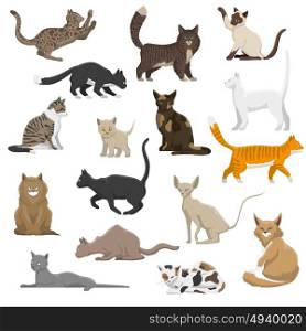 Domestic Cat Breeds Flat Icons Collection . Domestic popular and rare exotic cat breeds flat icons collection with persian and maine coon isolated vector illustration
