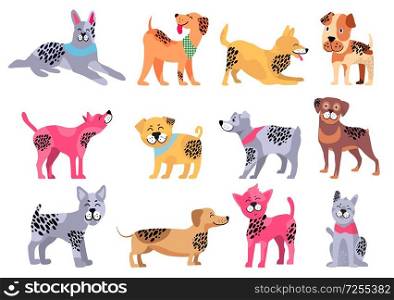 Domestic dogs of pure breeds big isolated cartoon vector illustrations set on white background. Animal symbol of 2018 year by Chinese calendar.. Domestic Dogs of Pure Breeds Big Illustrations Set