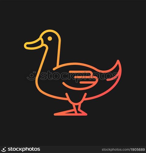 Domestic duck gradient vector icon for dark theme. Domestic bird raising for meat, eggs, down. Commercial duck growing. Thin line color symbol. Modern style pictogram. Vector isolated outline drawing. Domestic duck gradient vector icon for dark theme