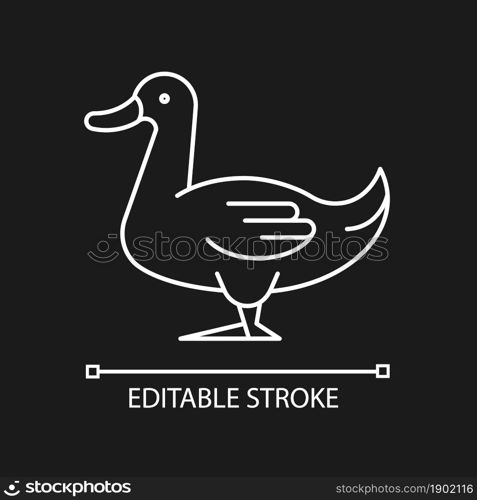 Domestic duck linear icon for dark theme. Poultry farming industry. Commercial duck growing. Thin line customizable illustration. Isolated vector contour symbol for night mode. Editable stroke. Domestic duck linear icon for dark theme