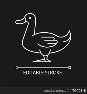 Domestic duck linear icon for dark theme. Poultry farming industry. Commercial duck growing. Thin line customizable illustration. Isolated vector contour symbol for night mode. Editable stroke. Domestic duck linear icon for dark theme