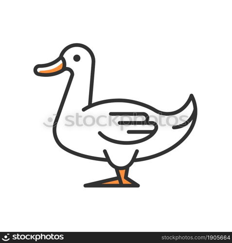 Domestic duck RGB color icon. Poultry farming industry. Domestic bird raising for meat, eggs and down. Commercial duck growing. Isolated vector illustration. Simple filled line drawing. Domestic duck RGB color icon