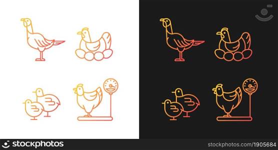 Domestic hens gradient icons set for dark and light mode. Female birds. Turkey and chicken. Thin line contour symbols bundle. Isolated vector outline illustrations collection on black and white. Domestic hens gradient icons set for dark and light mode
