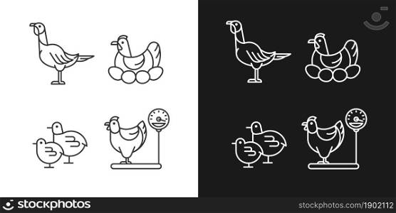 Domestic hens linear icons set for dark and light mode. Female birds. Turkey and chicken. Brood hen. Customizable thin line symbols. Isolated vector outline illustrations. Editable stroke. Domestic hens linear icons set for dark and light mode