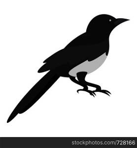 Domestic magpie icon. Flat illustration of domestic magpie vector icon for web. Domestic magpie icon, flat style