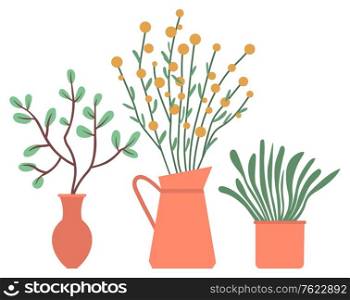 Domestic plants vector, pots and vases with foliage, set of blooming leaves and flowers. Botanical elements decor for home, nature flourishing flat style. Houseplants in Pots or Vases Plants Foliage Vector