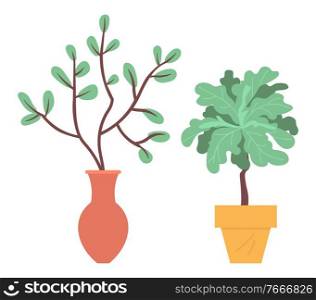 Domestic plants vector, pots and vases with foliage, set of blooming leaves and flowers. Botanical elements decor for home, nature flourishing flat style. Houseplants in Pots or Vases Plants Foliage Vector