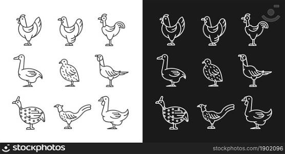 Domesticated birds linear icons set for dark and light mode. Chicken and geese growth. Bird raising for meat. Customizable thin line symbols. Isolated vector outline illustrations. Editable stroke. Domesticated birds linear icons set for dark and light mode