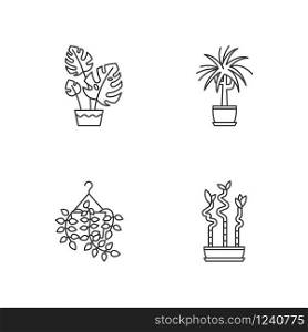 Domesticated plants pixel perfect linear icons set. Houseplants. Pothos, dracaena. Monstera, bamboo. Customizable thin line contour symbols. Isolated vector outline illustrations. Editable stroke
